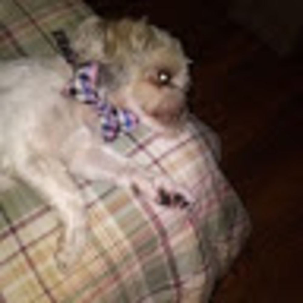 Meet your Posher, Coreen